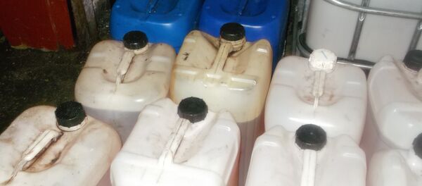 Канистры с топливом - Sputnik Беларусь