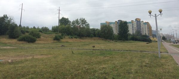 Пустырь, на котором сын и мать Цинявские избавлялись от останков Юлии Соломатиной - Sputnik Беларусь