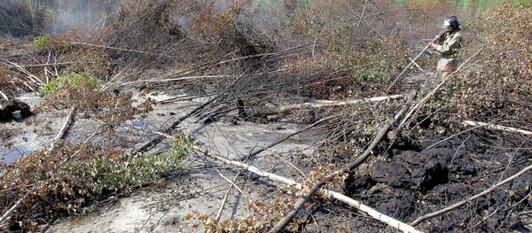 Тушение пожаров - Sputnik Беларусь