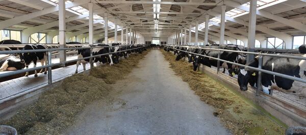 СПК Азерицкий-Агро - Sputnik Беларусь