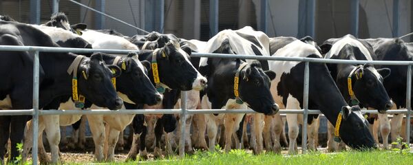 Сельскохозяйственное предприятие, архивное фото - Sputnik Беларусь