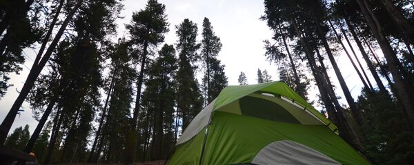 Палатка в лесу - Sputnik Беларусь