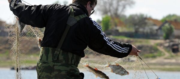 Рейд по борьбе с браконьерством - Sputnik Беларусь
