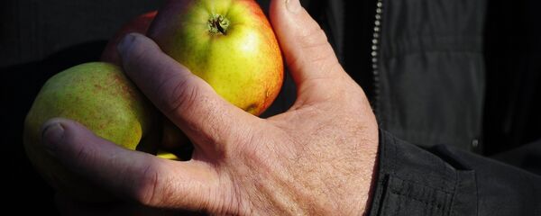 Яблоки - Sputnik Беларусь