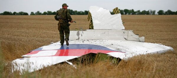 На месте падения Боинга в Донецкой области На месте падения Боинга в Донецкой области - Sputnik Беларусь