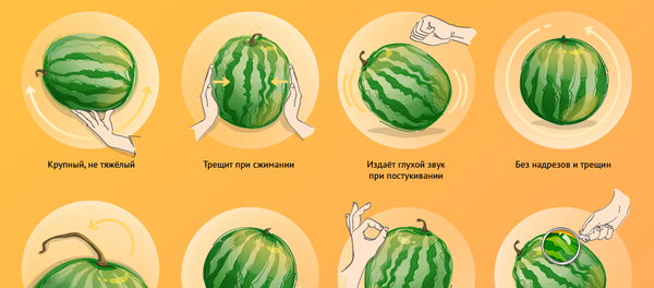 Chto Proishodit S Organizmom Kogda Vy Edite Arbuz 21 07 2020 Sputnik Belarus