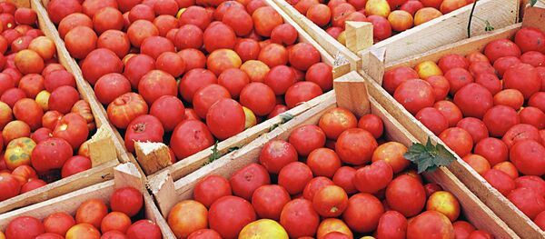 Помидоры - Sputnik Беларусь