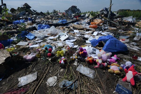 Мягкие детские игрушки на месте падения носовой части потерпевшего крушение малайзийского Boeing 777 - Sputnik Беларусь