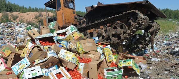 Уничтожение санкционных продуктов - Sputnik Беларусь