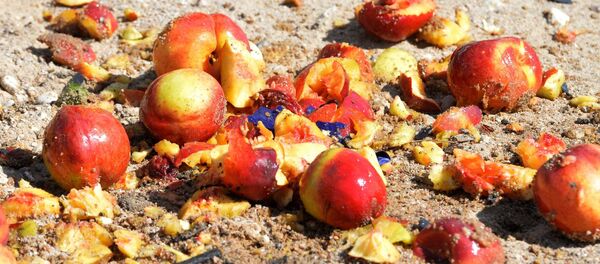 Знішэнне санкцыяваных персікаў Знішэнне санкцыяваных персікаў - Sputnik Беларусь