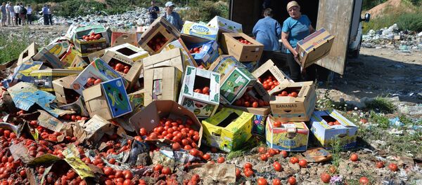 Санкционные помидоры - Sputnik Беларусь