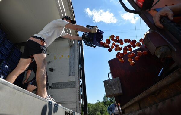 Персики уничтожали при помощи мусоровоза - сок лился рекой - Sputnik Беларусь