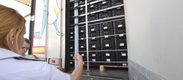 Сотрудники Россельхознадзора осматривают большегруз, архивное фото - Sputnik Беларусь