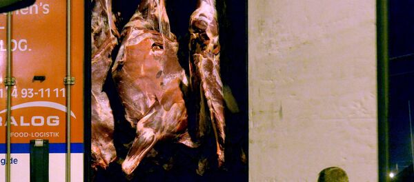 Сотрудники Россельхознадзора проверяют фуру с белорусской говядиной  - Sputnik Беларусь