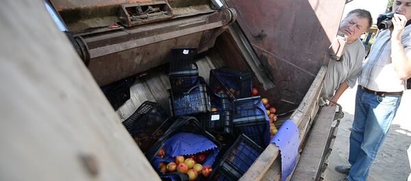 Бульдозером по продуктам: тонны еды уничтожили на границе с Россией - Sputnik Беларусь