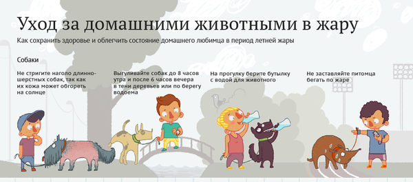 Уход за домашними животными в жару - Sputnik Беларусь