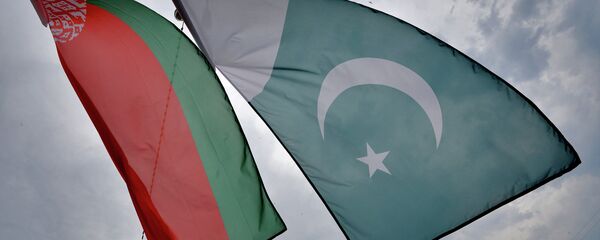 Флаги Беларуси и Пакистана - Sputnik Беларусь