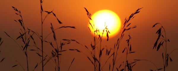 Першая спякота: на тыдні ў Беларусі пацяплее да +32°С Першая спякота: на тыдні ў Беларусі пацяплее да +32°С - Sputnik Беларусь