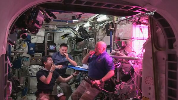 СПУТНИК_Космическая еда: как астронавты пробовали впервые выращенный на МКС салат - Sputnik Беларусь