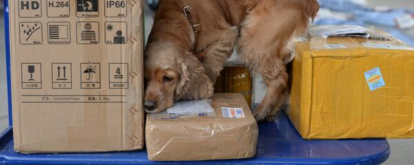 Таможенный пост в аэропорту Таможенный пост в аэропорту - Sputnik Беларусь