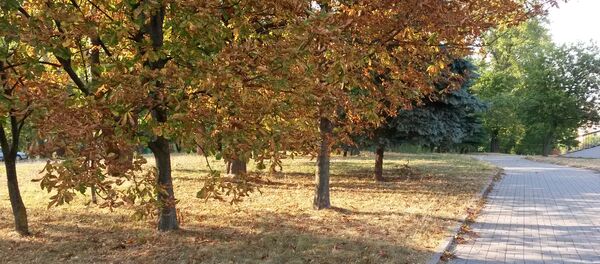 Жнівень у Мінску Жнівень у Мінску - Sputnik Беларусь