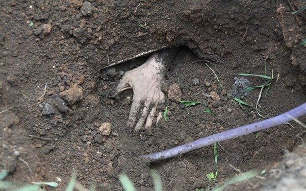 Найденная местными жителями в Сморгонском районе могила - Sputnik Беларусь