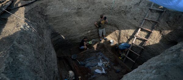 Валанцёры і археолагі падчас раскопак - Sputnik Беларусь