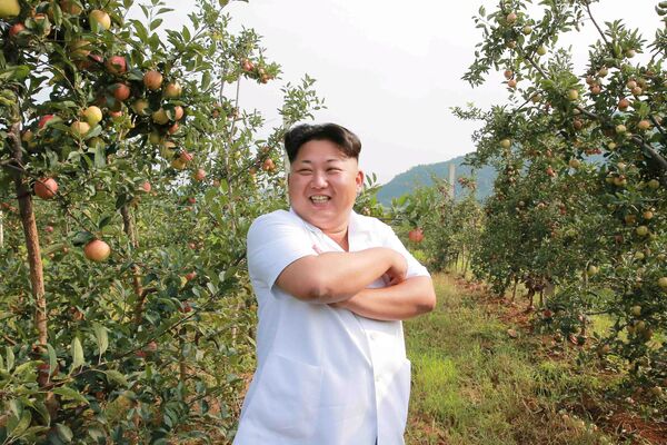 Лидер КНДР Ким Чен Ын на совещании в садах страны - Sputnik Беларусь