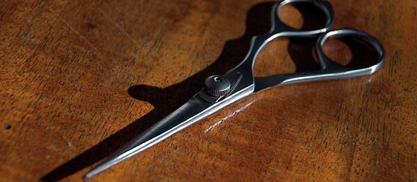 Ножницы - Sputnik Беларусь