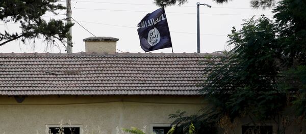 Флаг ИГ - Sputnik Беларусь