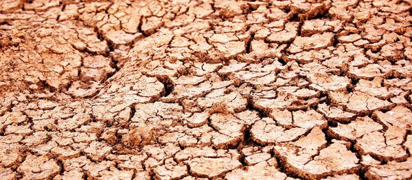 Высохшая земля - Sputnik Беларусь