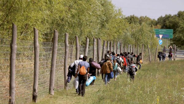 Группа беженцев идет вдоль венгерской границы - Sputnik Беларусь