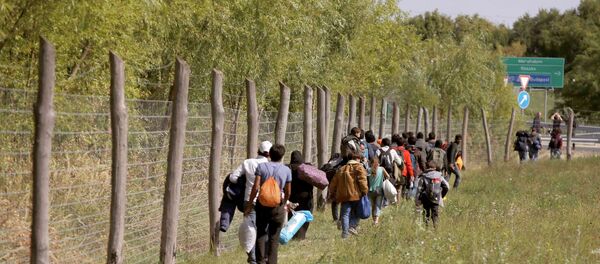 Группа беженцев идет вдоль венгерской границы - Sputnik Беларусь