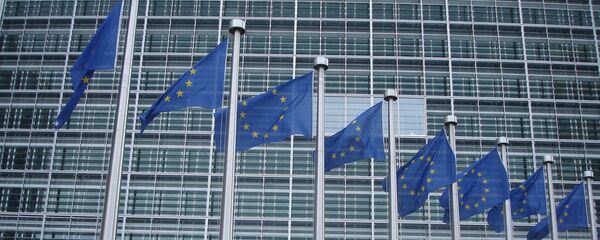 Флаги ЕС - Sputnik Беларусь
