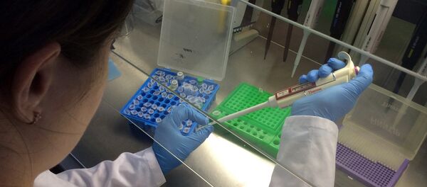 Сотрудница лаборатории генетики человека Института генетики и цитологии НАН Беларуси - Sputnik Беларусь