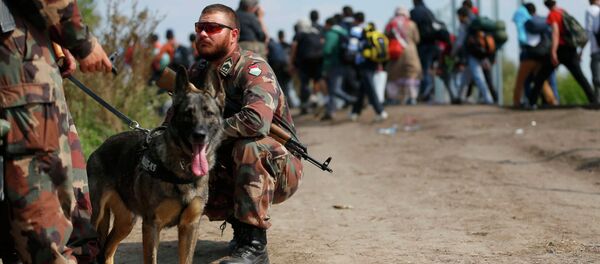 Мигранты пересекают сербско-венгерскую границу - Sputnik Беларусь