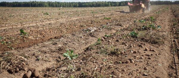 ОАО Восход-Агро - Sputnik Беларусь