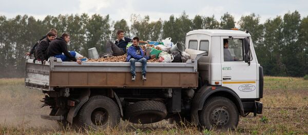 Уборка картофеля Уборка картофеля - Sputnik Беларусь