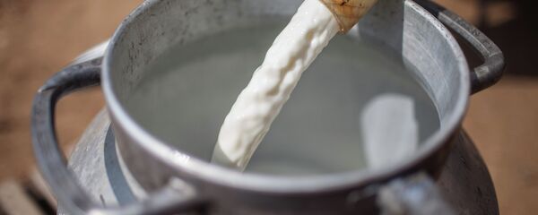 Молоко на  сыроварне - Sputnik Беларусь