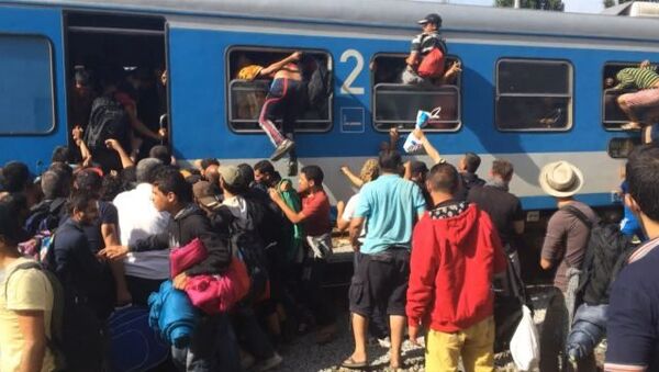 СПУТНИК_Беженцы через окна лезли в поезд, направляющийся в столицу Хорватии - Sputnik Беларусь