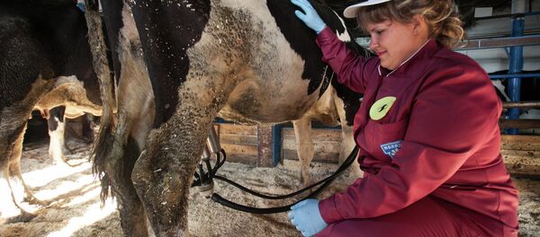 Конкурс доярок - Sputnik Беларусь
