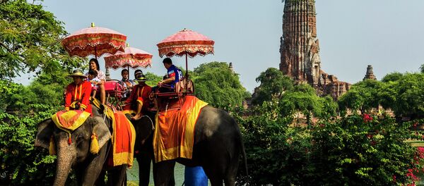 Туристы на слонах в Таиланде Туристы на слонах в Таиланде - Sputnik Беларусь