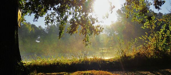 Солнце осенью - Sputnik Беларусь