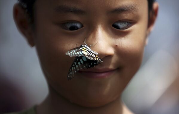 Мальчик на выставке бабочек в Китае - Sputnik Беларусь