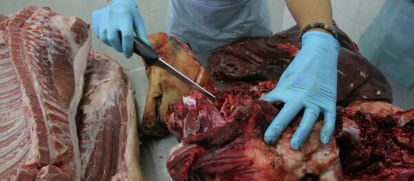 Сотрудники лаборатории ветеринарно-санитарной экспертизы осматривают партии свинины, баранины и говядины. - Sputnik Беларусь