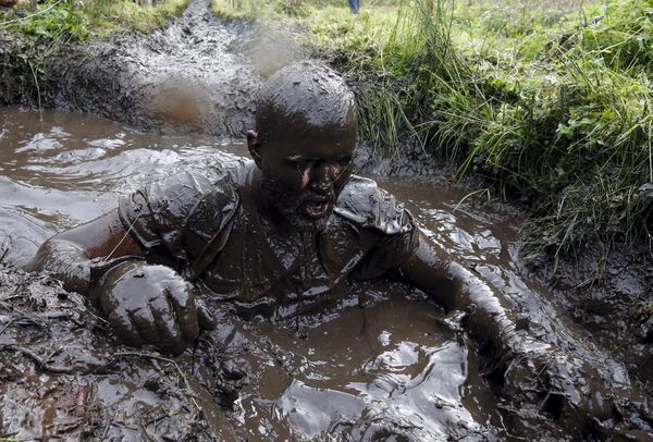 Bison race - Sputnik Беларусь