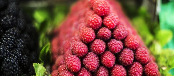 Ягоды малины - Sputnik Беларусь