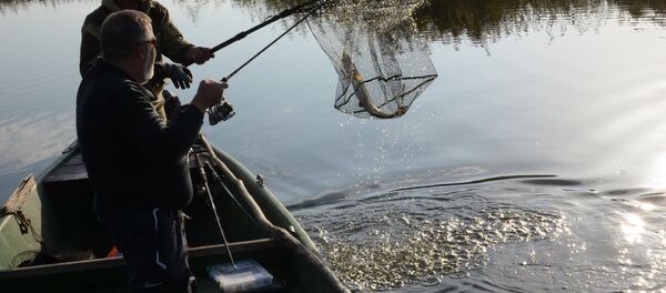 Осенняя рыбалка - Sputnik Беларусь