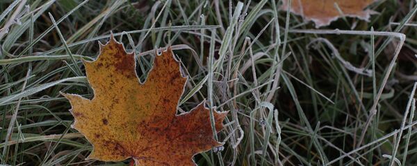 Осенние заморозки - Sputnik Беларусь