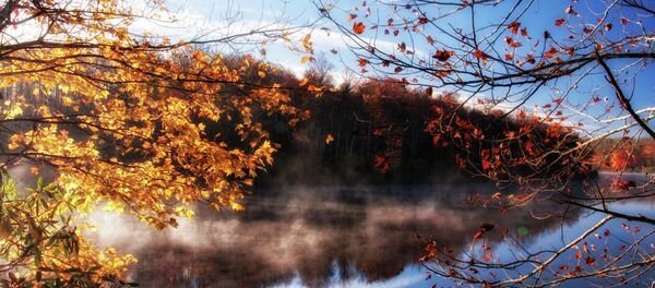 Осень Осень - Sputnik Беларусь